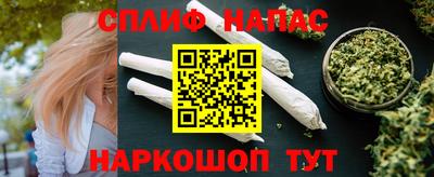 индика Гусиноозёрск